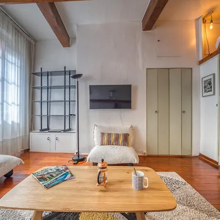 Appartement Atypique - Hypercentre / Place Aux Herbes Grenoble