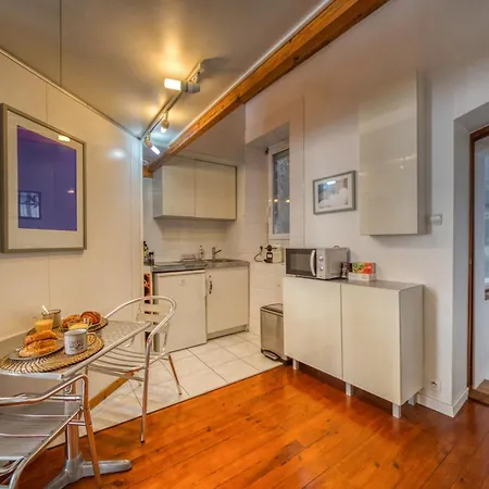 Appartement Atypique - Hypercentre / Place Aux Herbes Grenoble