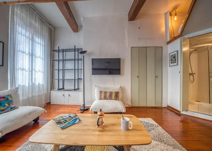 Apartamento Atypique - Hypercentre / Place Aux Herbes Grenoble