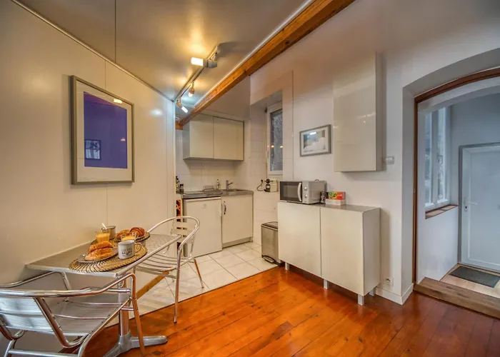 Apartamento Atypique - Hypercentre / Place Aux Herbes Grenoble